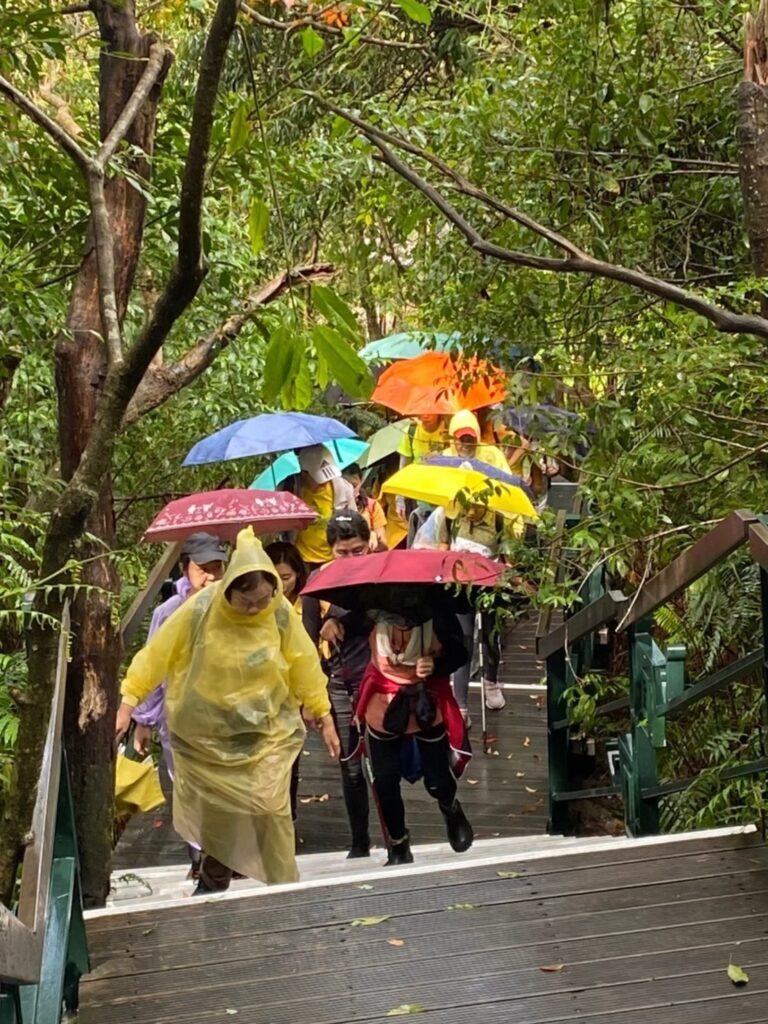 2022 翠山步道公益健行 —— 雨中同行