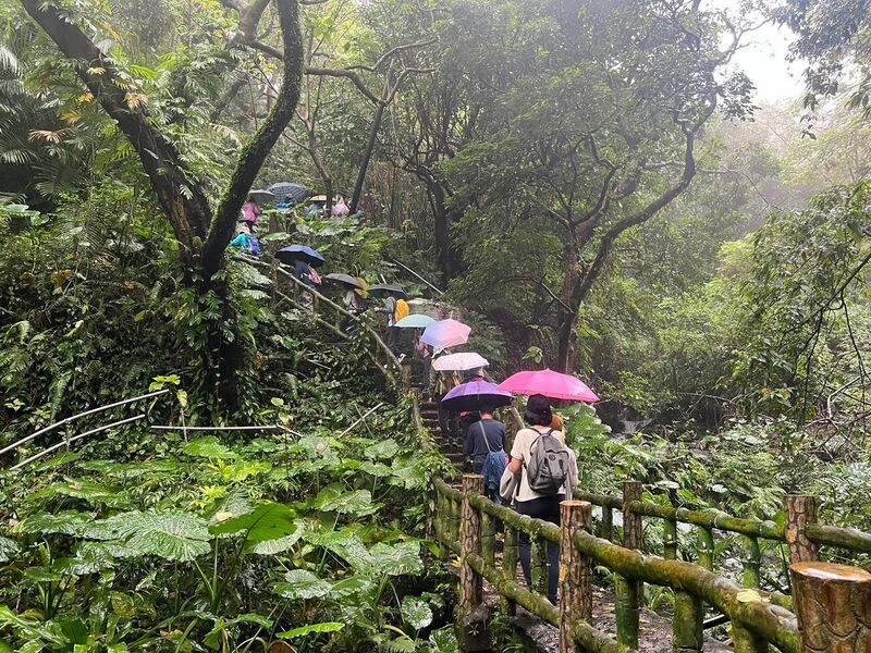2024 陽明山十八挖水圳古道 —— 沿山壁而行的水圳步道