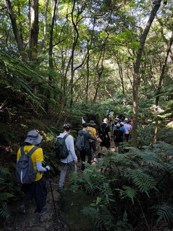 2025 大崙尾山走讀 —— 林蔭茂密的山徑