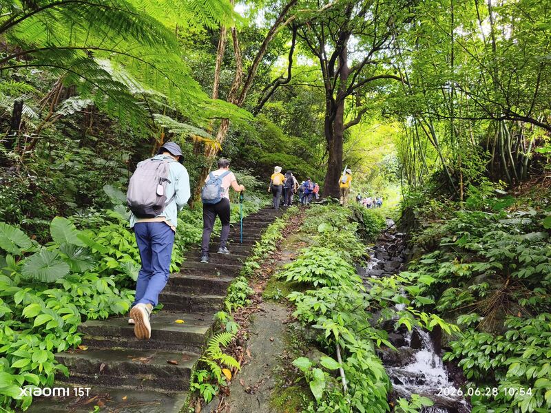 2026 龍鳳谷水圳健行 —— 溪畔石階步道