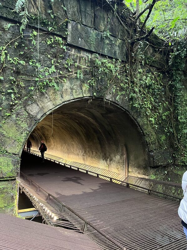 2026 三貂嶺隧道走春 —— 苔痕斑駁的舊鐵道隧道拱門