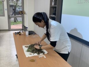 20241113文山日照-玲萱_4